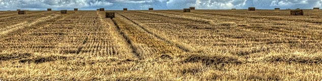 Trader Matières Premières Agricoles