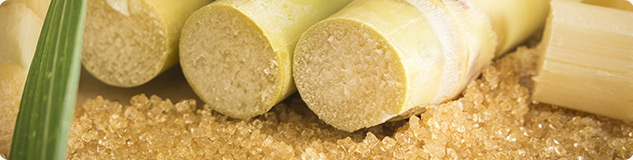 Le trading sur le sucre